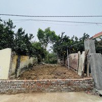 Siêu Phẩm 106M Nằm Giữa Trung Tâm Xã Nam Hà, Phúc Thọ Giá Chỉ 2X