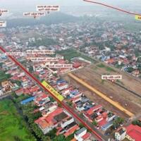 Bán đất đấu giá Thanh Sơn Kiến Thuỵ Hải Phòng giá hợp lý