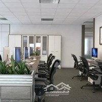 Cho Thuê Nhà Mặt Phố Nguyễn Văn Lộc, Biệt Thự 3.5 Tầng, Mặt Tiền 10M, Diện Tích Sử Dụng 350M