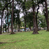 Bán Nhà Trung Tâm Quận 1, Mp Trần Nhật Duật 62M2 X 6M Ngang, Kinh Doanh Đỉnh, Sổ Đẹp, Chỉ 27 Tỷ