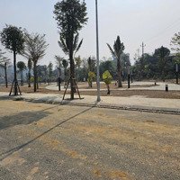 Tiêu Đề: Hàng Kín Centre Vilie Lk - Bt (Góc) Giá Cực Kỳ Tốt, Cam Kết Đầu Tư Chắc Thắng. Sổ Đỏ Sẵn