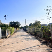 Bán Đất Khu Bàn Cờ Trung Tâm Xã Liên Hiệp, Huyện Đức Trọng,Diện Tích10X23, 230M2 Tc Giá Bán 2.3 Tỷ
