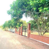 Bán Lô Đất Thổ Cư Dt752 Đường Phan Bội Châu Ngay Trường Chuyên Bình Long 268 Triệu