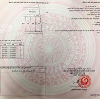 Còn 2 Lô Duy Nhất Mặt Tiền Đường Nhựa Gần Chợ Phú Hoà Đông, Củ Chi, 93M2, Shr, 1,45Tỷ.