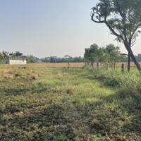 b.á.n nhanh 2.000m2 đất có 500m2 thổ cư giá 1,2 tỷ (hết đất) tại P Long Hòa, TP Gò Công, TG.