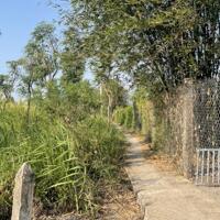 b.á.n nhanh 2.000m2 đất có 500m2 thổ cư giá 1,2 tỷ (hết đất) tại P Long Hòa, TP Gò Công, TG.