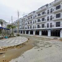 80M2 LIỀN KỀ 5, VIEW CẢNG CẠN ICD, HƯỚNG TÂY BẮC KĐT ĐÔNG DƯƠNG RESIDENCE