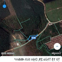 Chính Chủ Cần Bán Gấp 2,66 Ha Đất Xã Tại Hiếu Liêm, Huyện Vĩnh Cửu, Đồng Nai