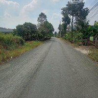 Đấtmặt Tiềnđường Lê Văn Cảng, Xã An Vĩnh Ngãi Tp Tân An Tỉnh Long An