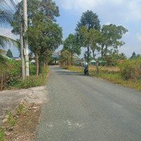 Đấtmặt Tiềnđường Lê Văn Cảng, Xã An Vĩnh Ngãi Tp Tân An Tỉnh Long An