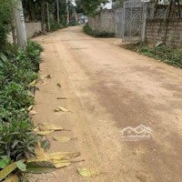 Bán Gấp Mảnh Đất Duy Nhất Còn Sót Lại Với Gói Tài Chính Hơn 8 Triệuăm Triệu, Với 256M2 Gần K9