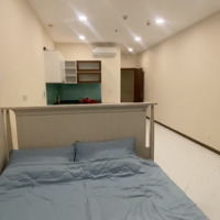 Cho Thuê Cc Studio 1 Phòng Ngủ 1 Vệ Sinhtại The Pegasuite, 8,5 Triệu, 45M2