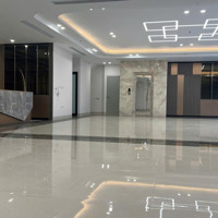 Cho Thuê Mp Tô Hiến Thành Hbt 250M 8 Tầng 2 Hầm Thông Sàn 2 Thang Máy Pccc Nghiệm Thu Giá 380 Triệu