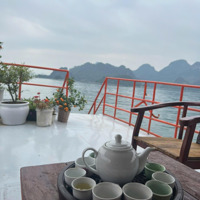 Chính Chủ Bán Nhanh Lô Đất Sào Long Phước, Bà Rịa, Thành Phố Bà Rịa. Giá Thương Lượng
