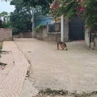 Bán Lô Góc 300M Yên Trung, Tpvt Hoà Lạc, Cơ Hội Đầu Tư Không Thể Bỏ Lỡ, Chỉ Có Vài Triệu Một Mét
