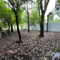 Cho Thuê Mặt Bằng Làm Nhà Hàng, Quán Cafe Tại Quảng An, Tây Hồ