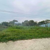 Cần Bán Đất Bình Ân,Đường Đan Xe Hơi 33X22 Giá Hết Đất 950 Triệu.