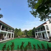 Khuân Viên Nghỉ Dưỡng 1706M Tại Xã Đông Xuân Quốc Oai Không Thể Bỏ Qua