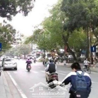 Duy Nhất Cho Thuê Nhà Phố Hoà Mã- Hai Bà Trưng, Vị Trí Nhận Diện Thương Hiệudiện Tích90M X 3 Tầngmặt Tiền20M