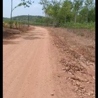 Chính Chủ Cần Bán 2 Lô Đất Thổ Cư Tại Lộc Thành, Lộc Ninh