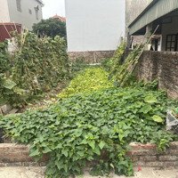 Bán Đất Tại Xã Vân Tảo, Thường Tín, Hà Nội, Giá Cực Chất 53,5 Triệu, 50M2