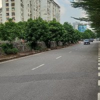 Siêu Hiếm! Mp Tôn Thất Thuyết. 120M2. 6 Tầng. 1 Hầm.mặt Tiền7M. Giá Tốt