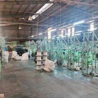 Cho Thuê Nhà Xưởnng Hóc Môn,Diện Tích2200M2, Giá 90 Triệu/Tháng