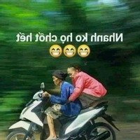 Bán Lô Đất Đấu Giá Ao Đầu Vôi ,Song Khê Tam Hưng Thanh Oai Hà Nội