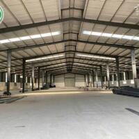 Bán nhà xưởng đang xây dựng 15.000 m2 tại Tân Hiệp, Phú Giáo, Bình Dương