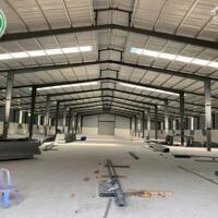 Bán nhà xưởng đang xây dựng 15.000 m2 tại Tân Hiệp, Phú Giáo, Bình Dương