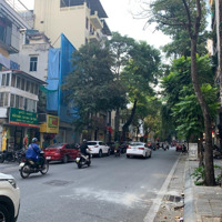 Siêu Phẩm Phố Cổ Ngô Thì Nhậm - Mặt Tiền Khủng - Dòng Tiền Đỉnh 230M - Mặt Tiền 8M