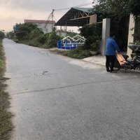 860M2 Thổ Cư Lẫn Vườn Đối Diện Kcn Mỹ Thuận 6,5 Tỷ