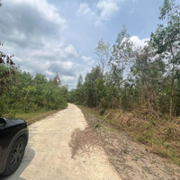 Bán 10 Hecta Giáp Betong Hơn 400M Rộng Rãi Gần Trung Tâm Huyện Khánh Vĩnh Giá Rẻ Liên Hệ: 0788.558.552