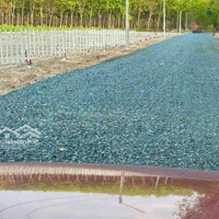 Đất Khu Dân Cư Cách Ngã Tư Chơn Thành Vài Trăm Mét Vuông Diện Tích Đất 500M2