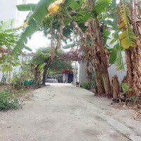 Bán Đất Thôn Mỹ Nội, Bắc Hồng, Đông Anh Tiềm Năng Tăng Giá Cao