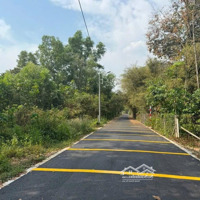 Bán Đất Sổ Hồng Riêng Xã Phú An Bến Cát Bình Dương. Diện Tích 5X23 Thổ Cư 50 Giá Chỉ 880 Triệu