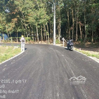 Bán Đất Sổ Hồng Riêng Xã Phú An Bến Cát Bình Dương. Diện Tích 5X23 Thổ Cư 50 Giá Chỉ 880 Triệu