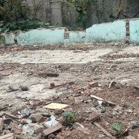 Bán Đất Phố Trạm Long Biên Ô Tô Vào Nhà 50M Chỉ 6,8 Tỷ!