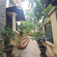 Lô Góc !! Biệt Thự Mễ Trì Thượng , Vị Trí Kinh Doanh . 0903892668