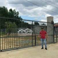 Cần Bán Nền Farm Xuân Đồng Có Sẵn Vườn, Ao Cá