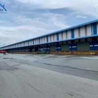 Cho thuê kho 1300m2 phường Long Bình Biên Hòa Đồng Nai giá 100tr/tháng