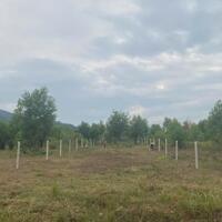 Bán đất vườn Khánh Đông giá rẻ đường thông gần Tỉnh Lộ 8