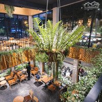 Siêu Mặt Bằng Kinh Doanh 55 Triệu, 250M2Mặt Tiền11M Tại Phú Đô, Nam Từ Liêm, Hà Nội Liên Hệ: 0984.966.213