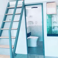 Đầu Tư Siêu Lợi Nhuận.doanh Thu Khủng 50 Triệueu/Tháng.dien Tích 175M Với 18 Phòng