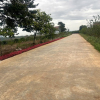 Đón Đầu Năm Mới Với Lô Đất 1300M2 Trung Tâm Xã Liên Hiệp, Ngay Sân Bay Liên Khương Giá Bán 2.7 Tỷ