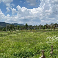 Đất Đẹp Tà Nung Tp Đl. View Thoáng Giá Cực Tốt