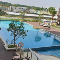 Cho Thuê Căn Hộ 2Phòng Ngủ Midori The View Gần Trung Tâm Hành Chính Tp Mới Bình Dương