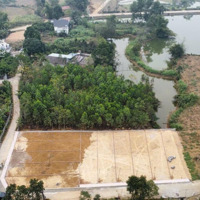 Nóng Nhất Lúc Này Tại Lương Sơn Chỉ Hơn 300 Triệu Có Ngay Lô Đất Thị Xã Lương Sơn