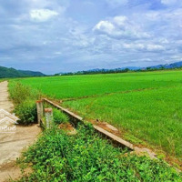 [ Đất Lúa Diên Hoà, Phù Hợp Đất Ở _ Bám Mặt Đường Ô Tô Rộng Thênh Thang ] , Với