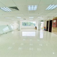 Văn Phòng Tân Bình 135M2 - 200M - 400M - 600M2 Giá Hỗ Trợ + Có Chổ Đậu Ô Tô + View Kính